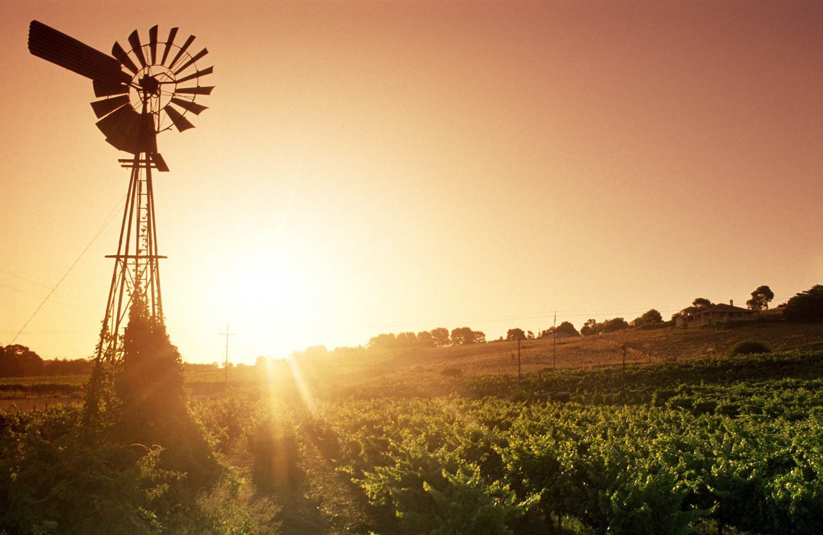 Barossa Valley