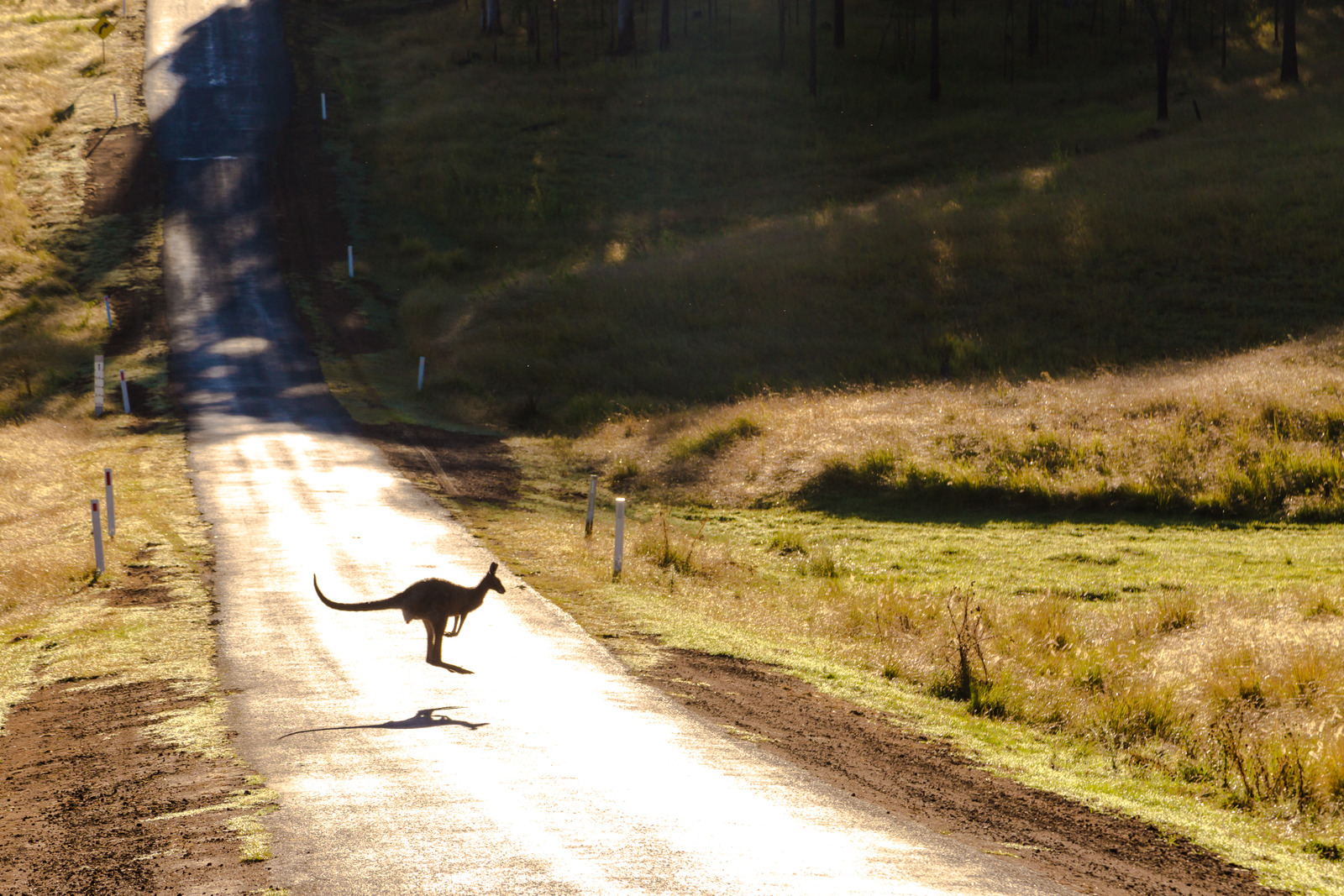 Australia Road Trip 