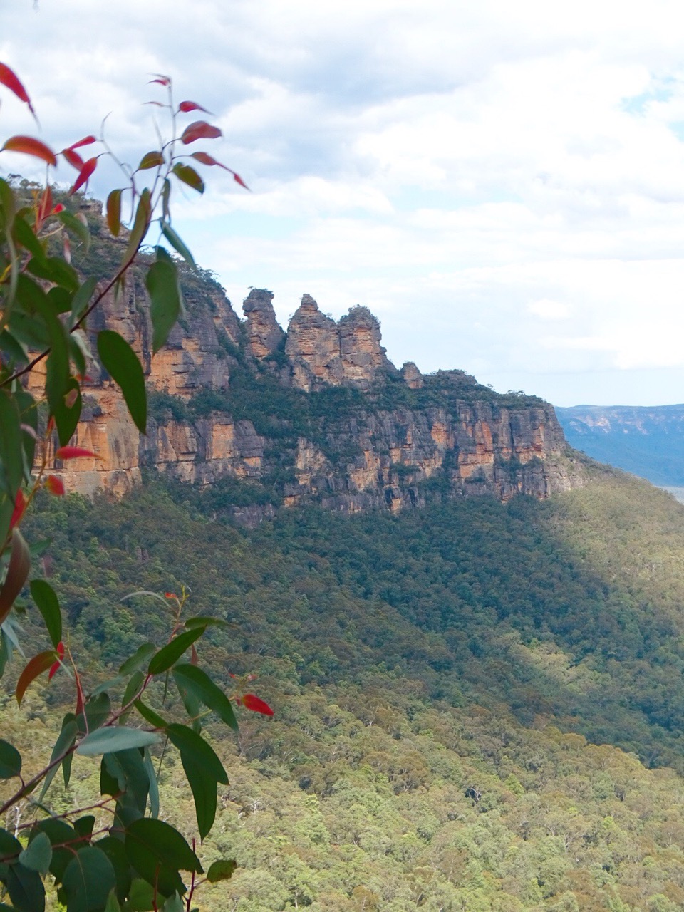 Hiking in the Blue Mountains