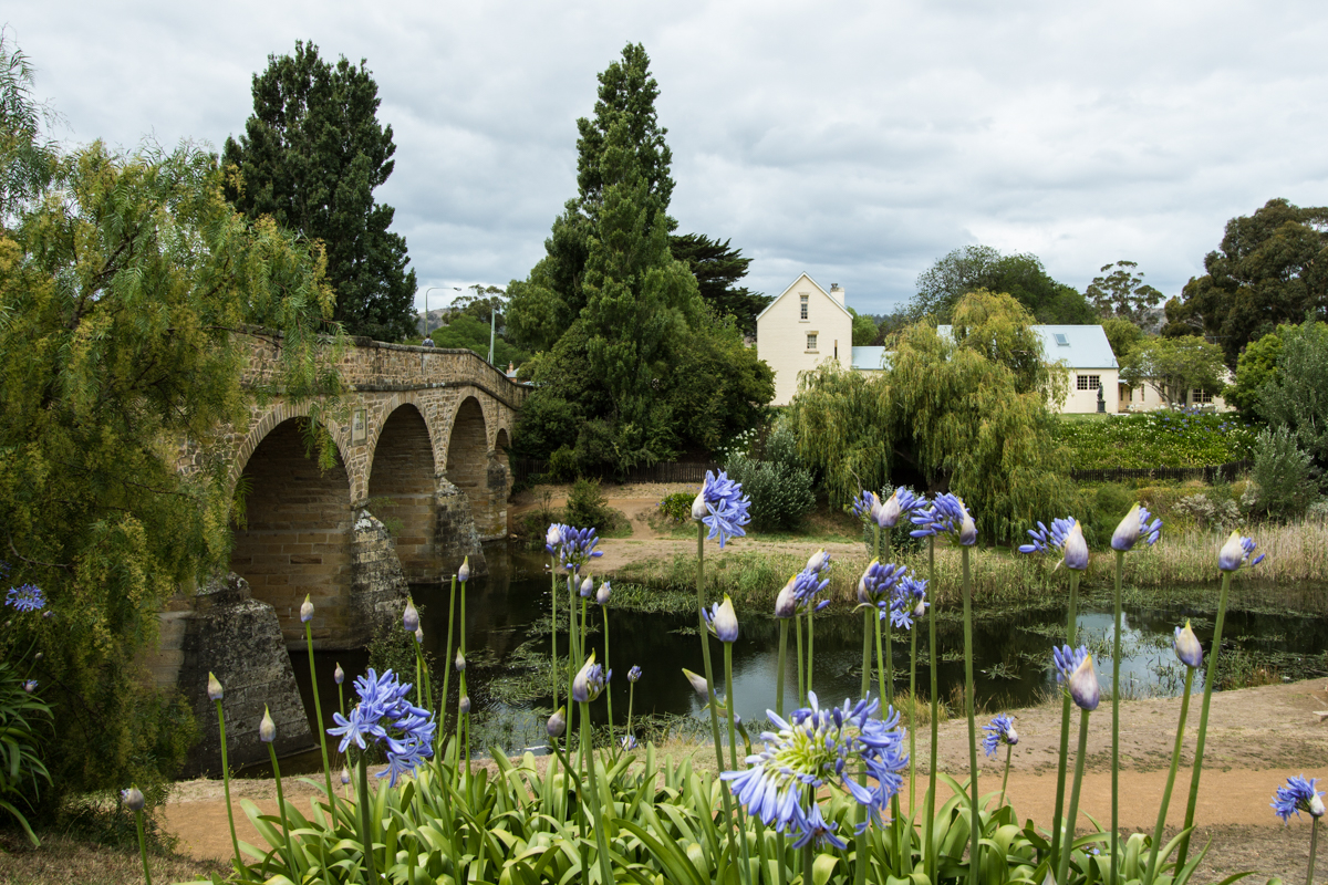 Richmond Bridge 