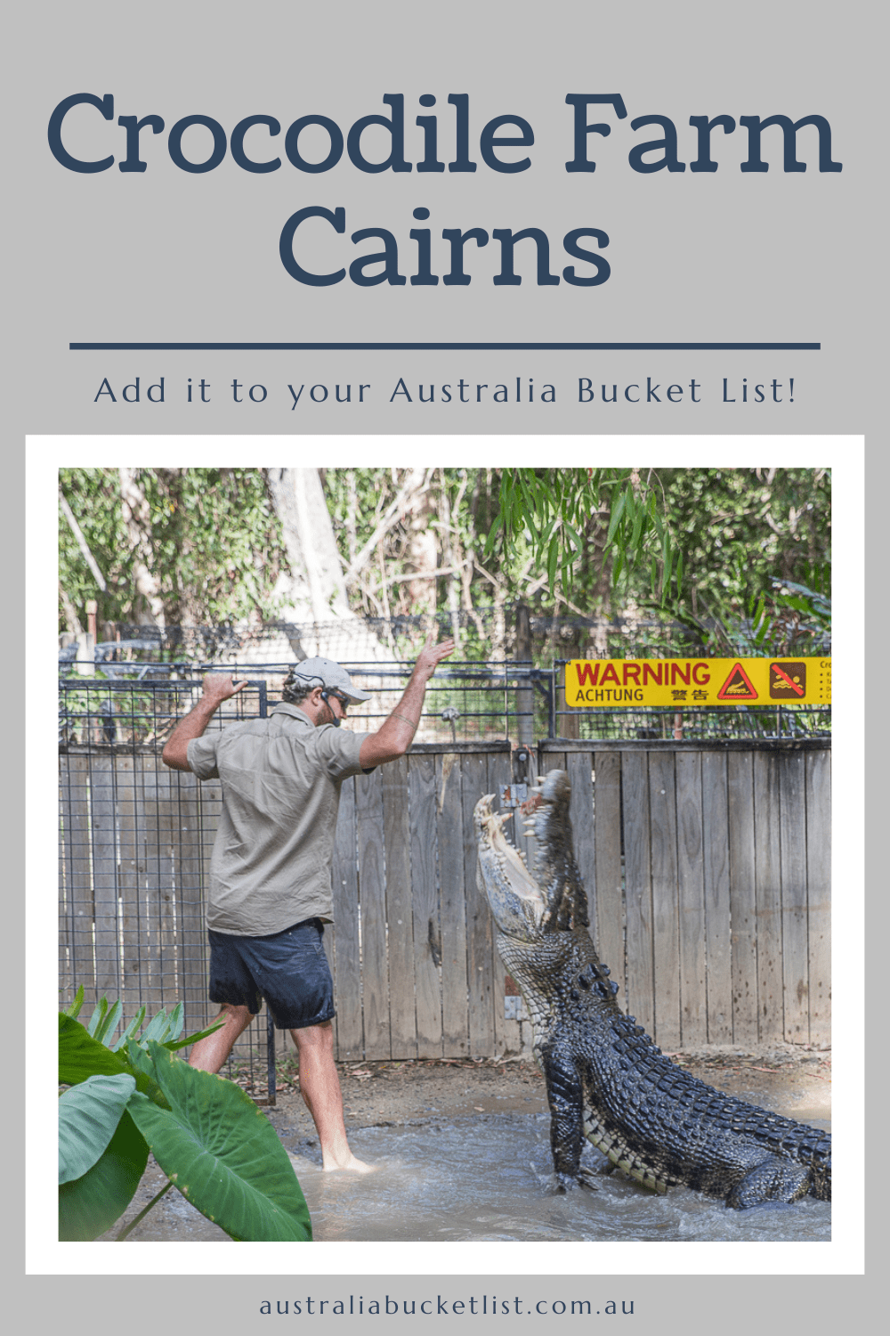 Crocodile Farm Cairns