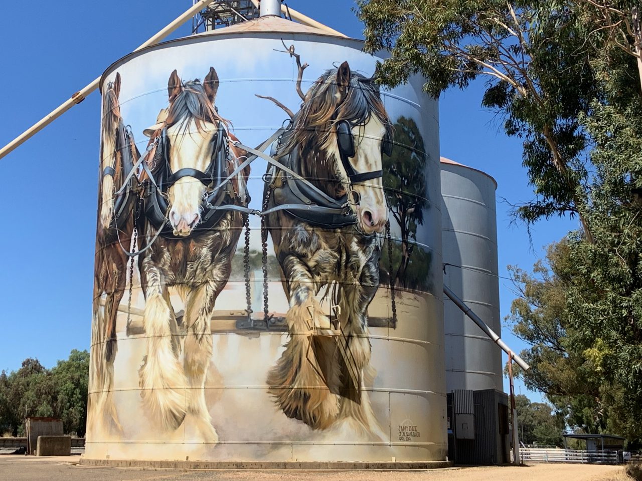 Drive the Benalla Silo Art Trail Australia Bucket List