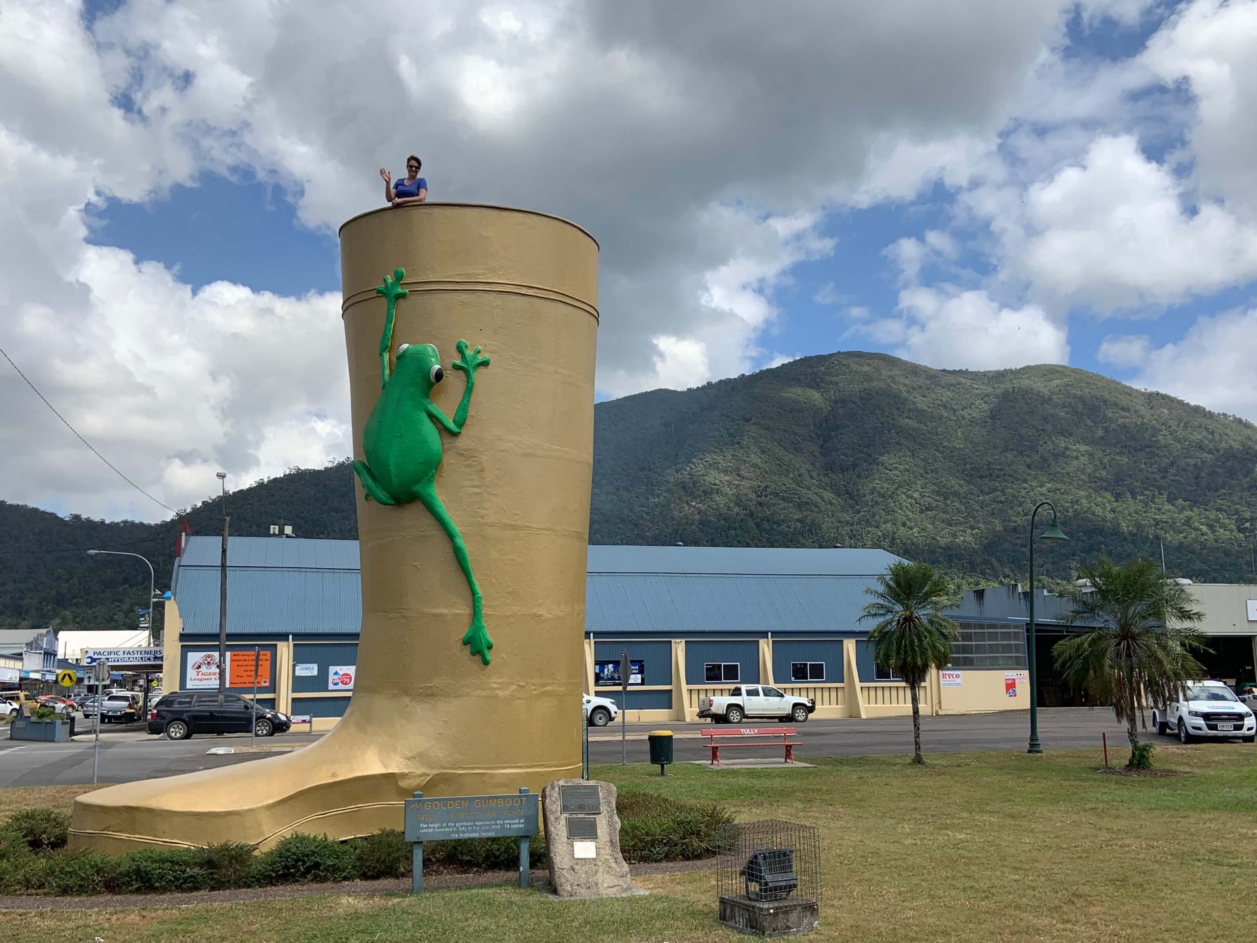 Big Golden Gumboot Tully Big Golden Gumboot Tully