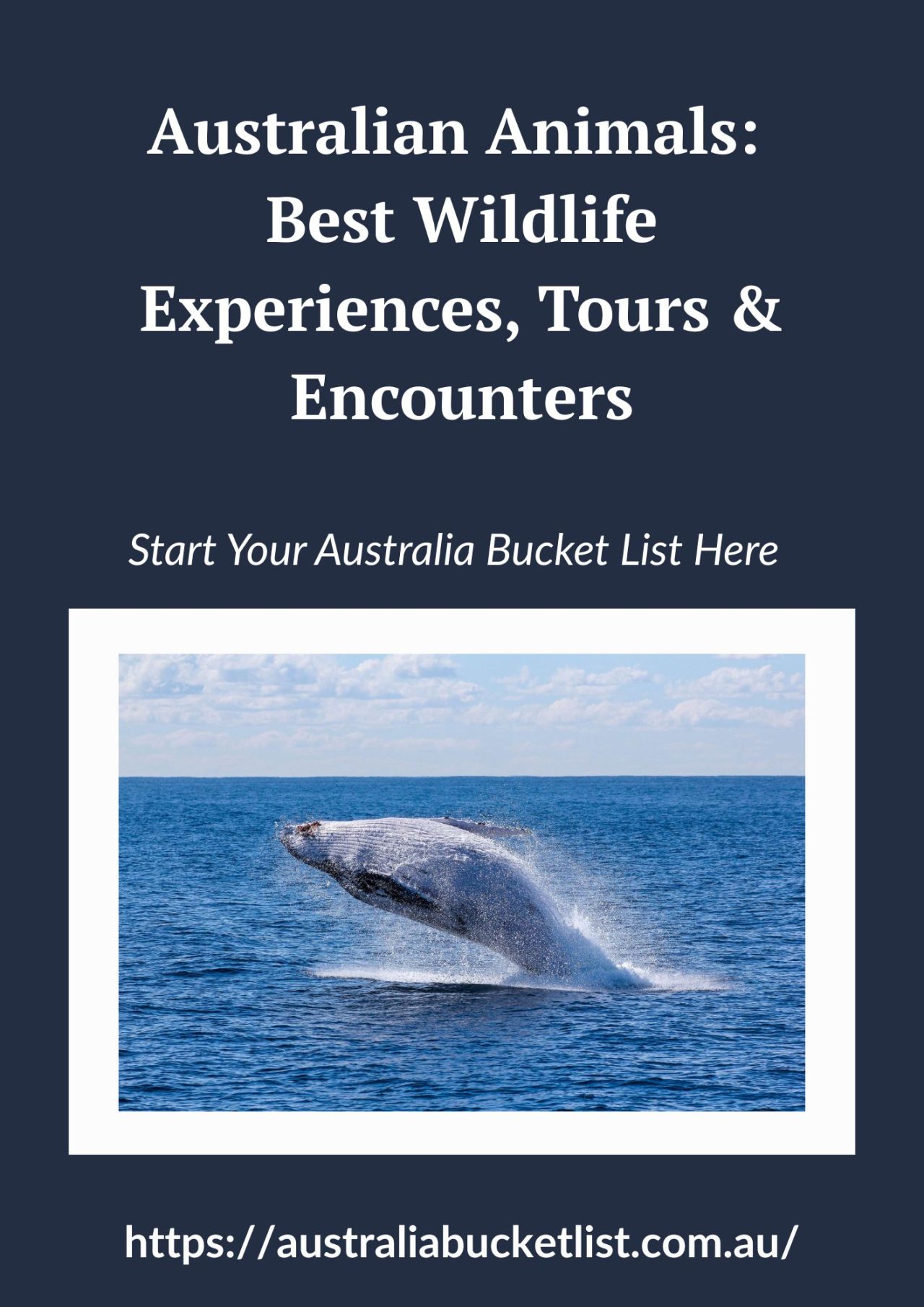 Australian Animals: Best Wildlife Experiences, Tours & Encounters