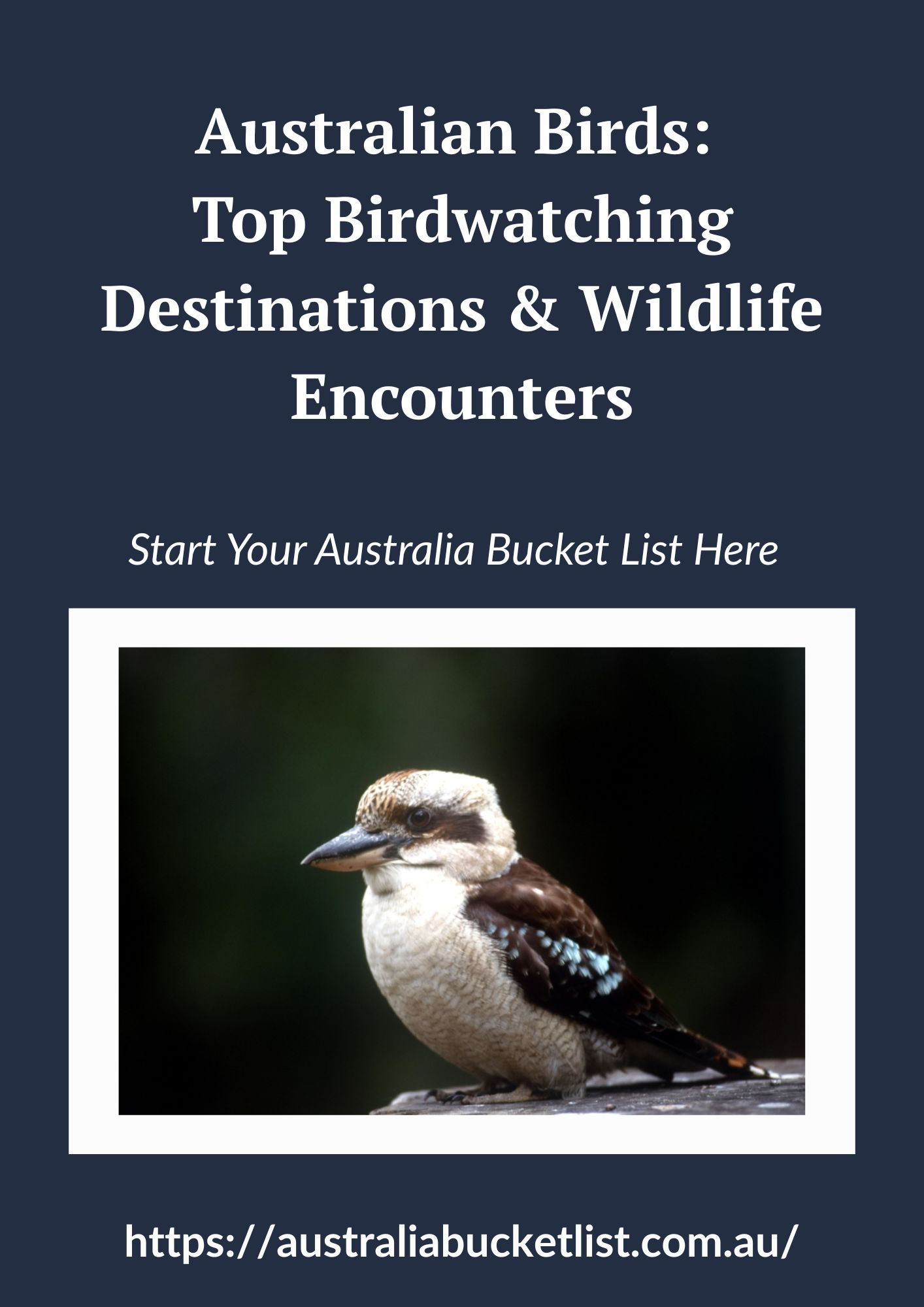 Australian Birds: Top Birdwatching Destinations & Wildlife Encounters
