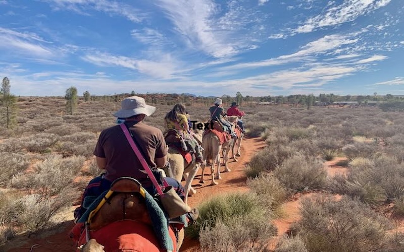 Uluru Camel Ride