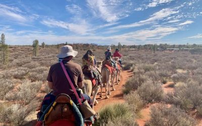 Uluru Camel Ride Tours: A First-Timer’s Guide
