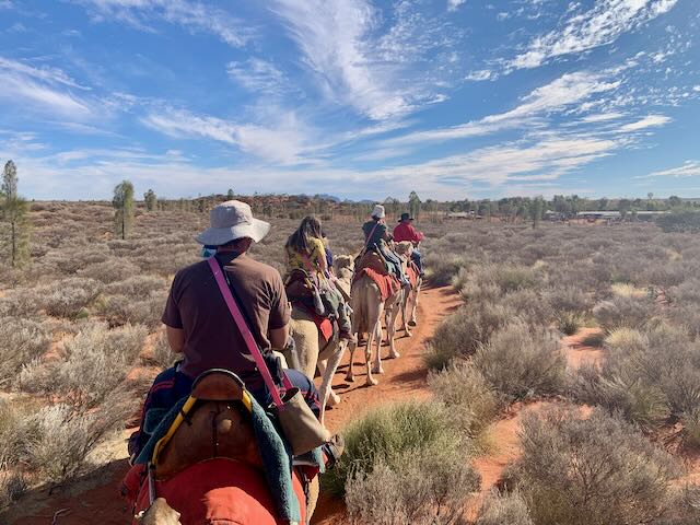 Uluru Camel Ride Tours: A First-Timer’s Guide