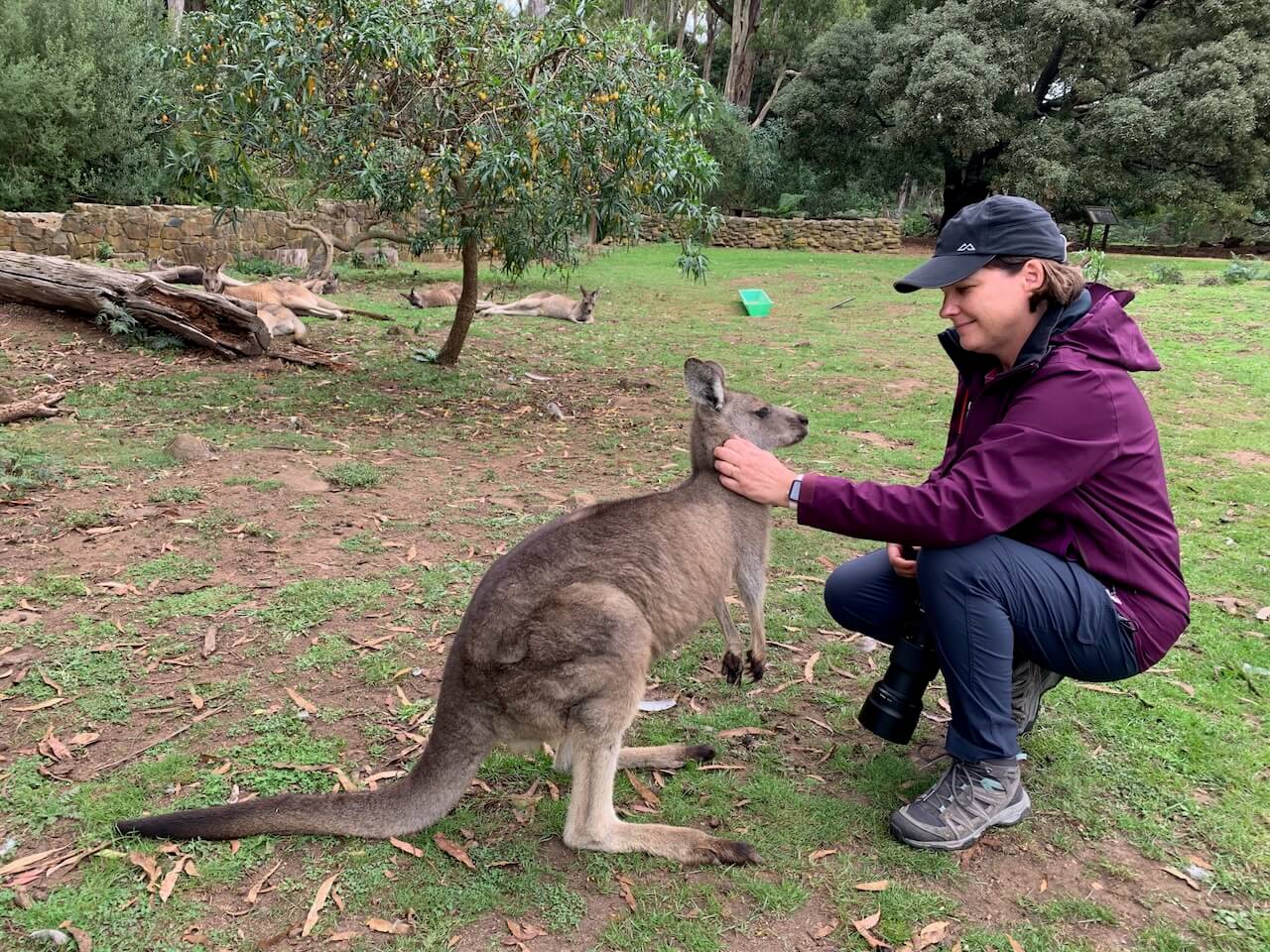 Susan Gan - Australia Bucket List Susan Gan - Australia Bucket List