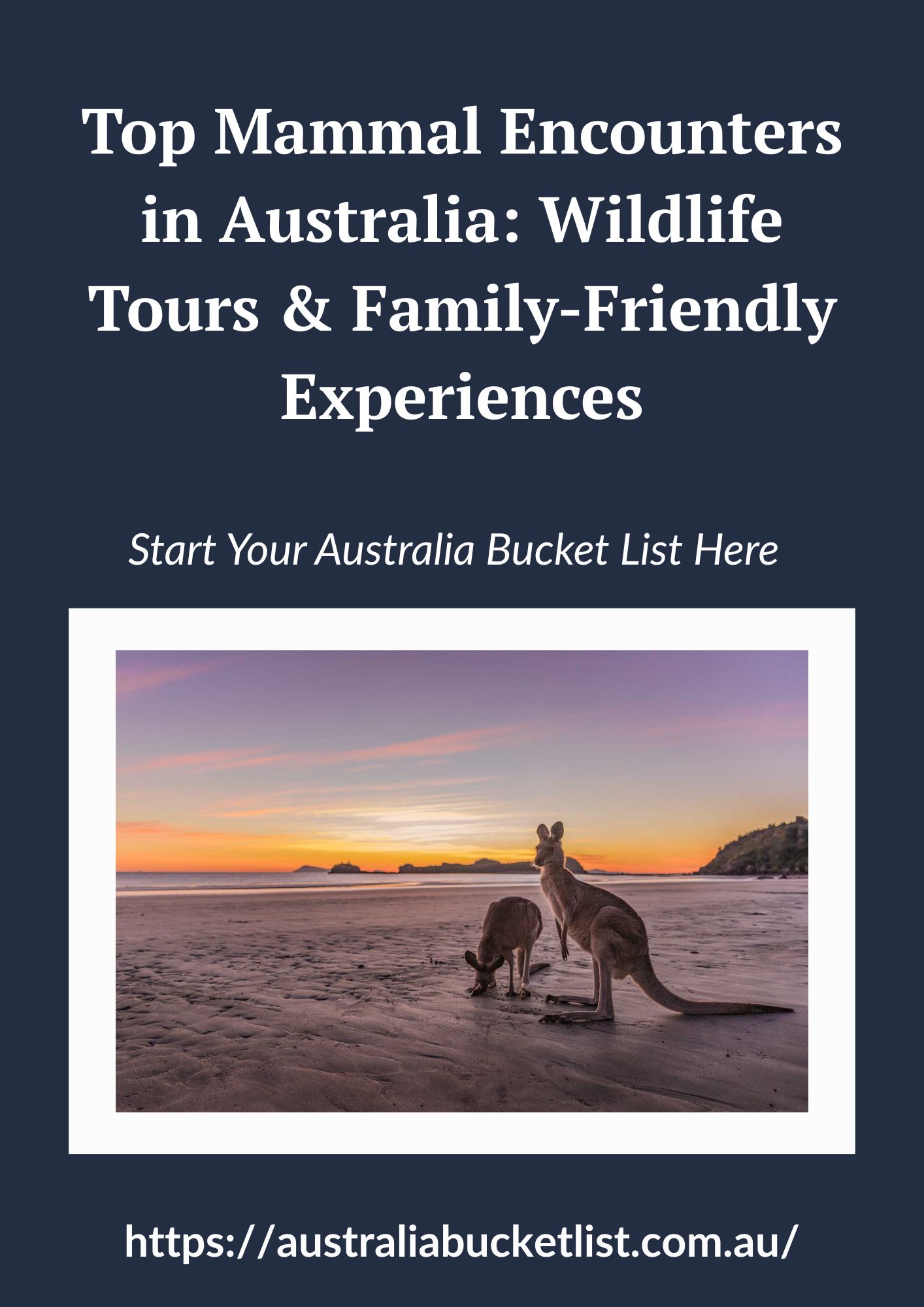 Top Mammal Encounters in Australia