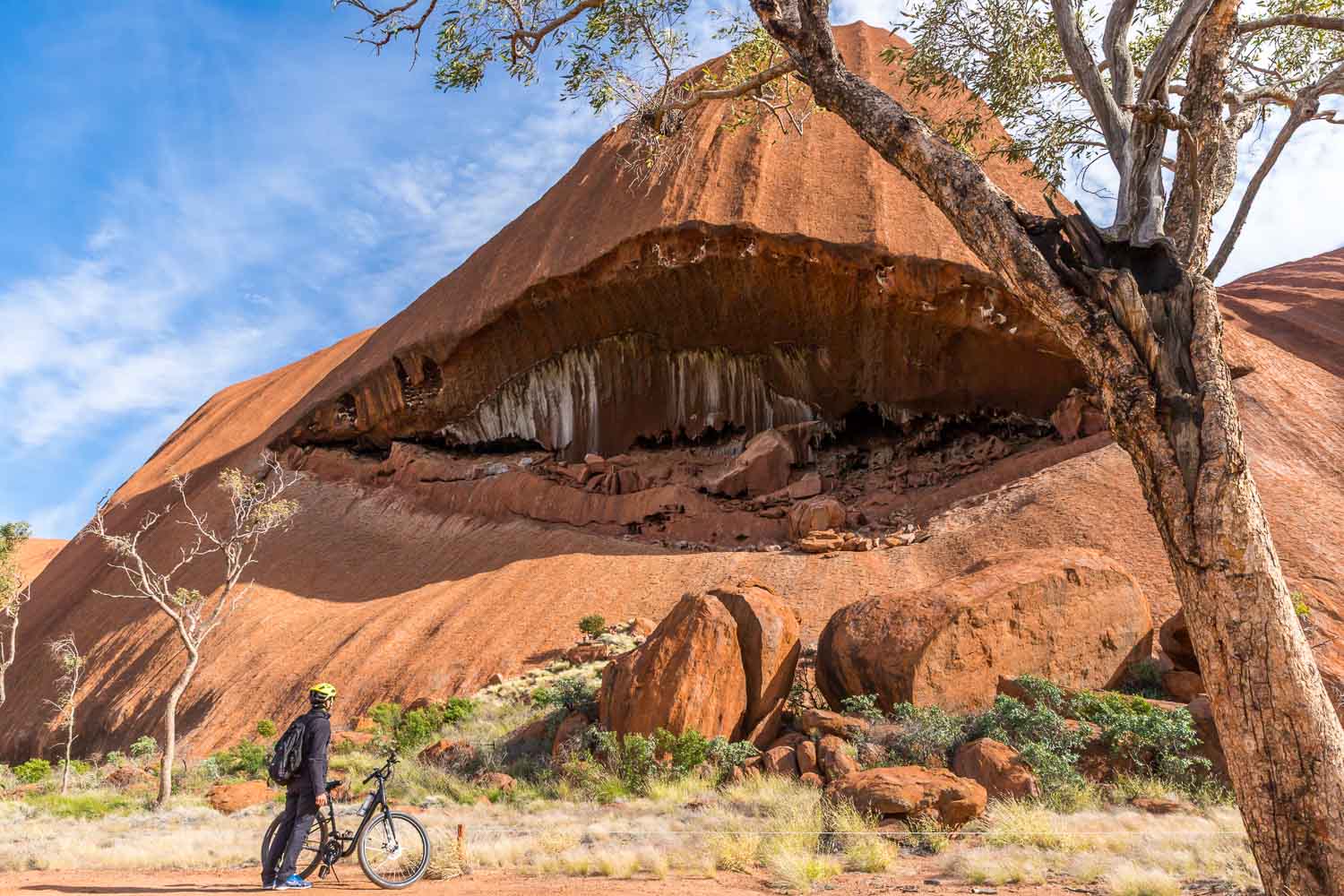 Bike ride around Uluru ©Susan Gan Photography yellow seahorse