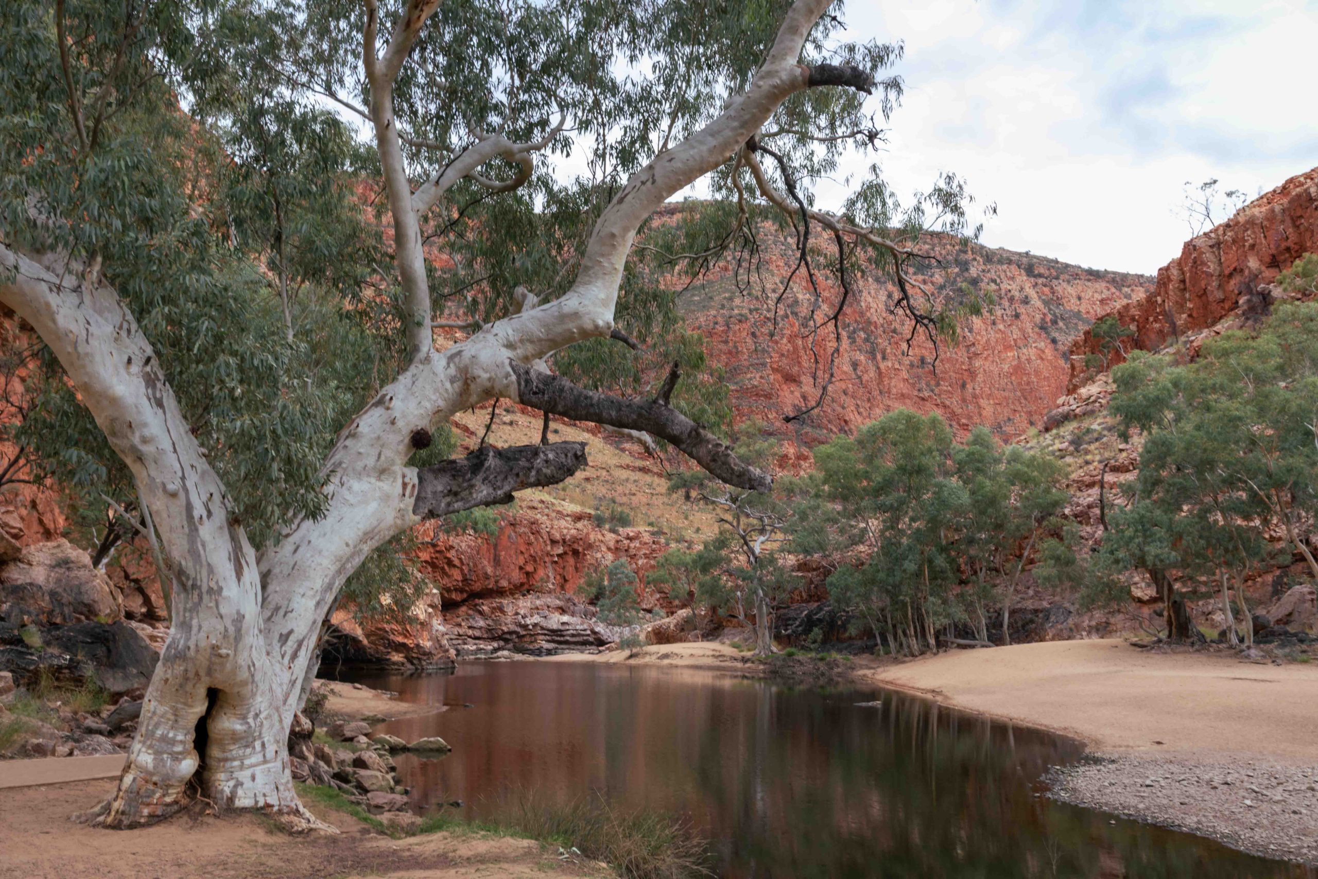 Ormiston Gorge, West MacDonnell Ranges ©Susan Gan Photography
